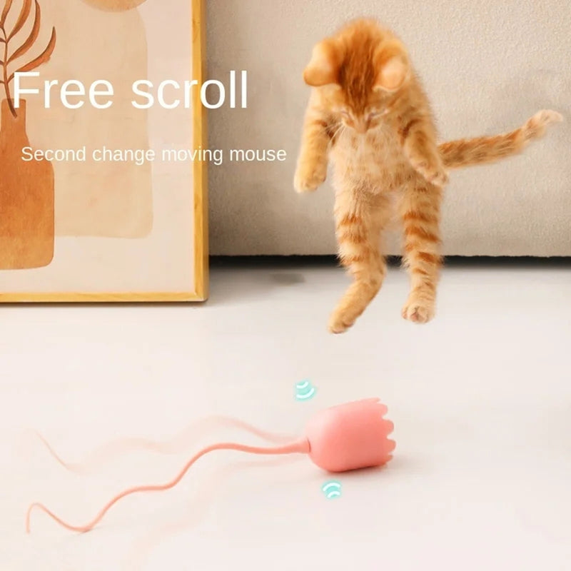 Interactive Cat Toy