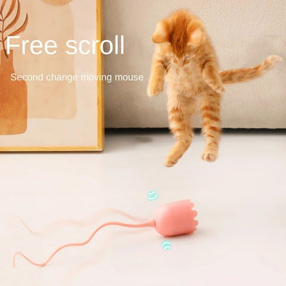 Interactive Cat Toy
