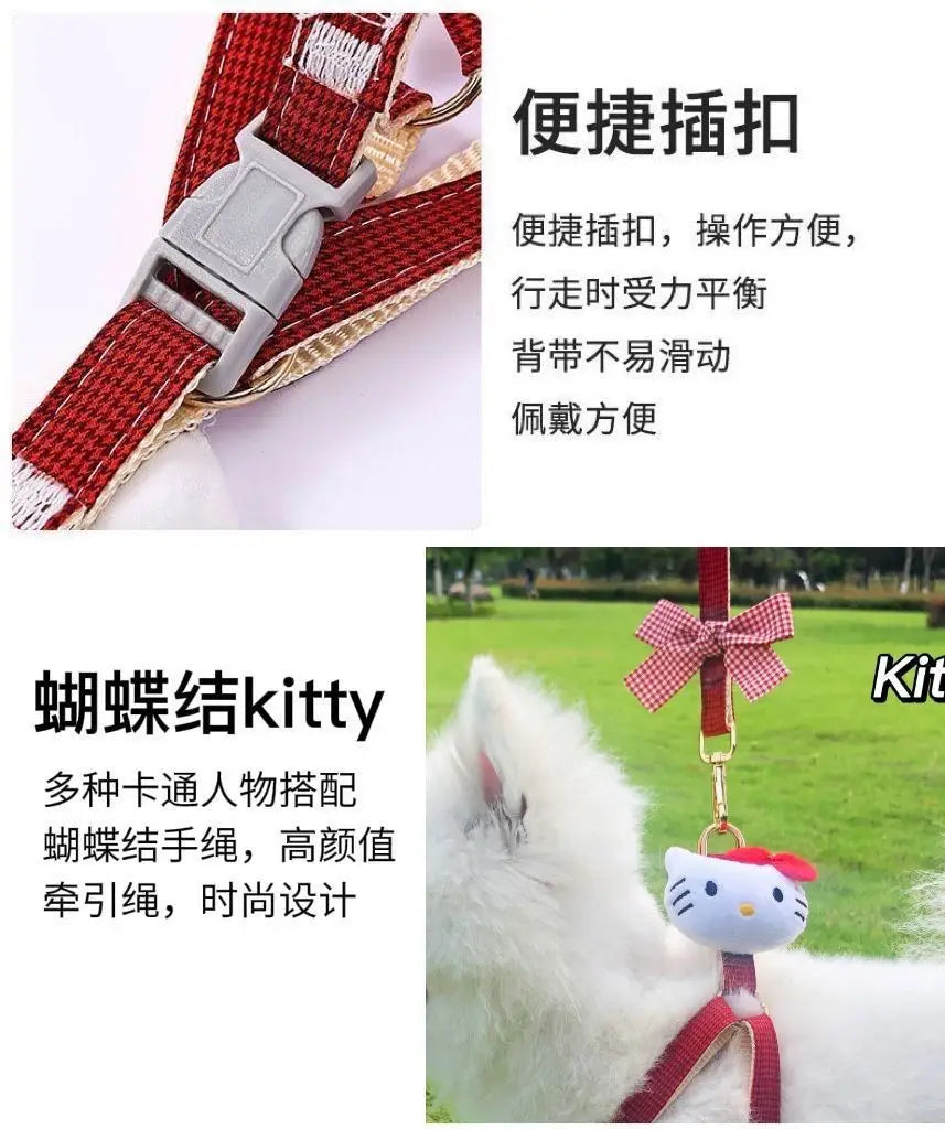 melody pet  dog