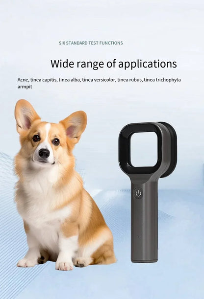 Pet Skin Lamp