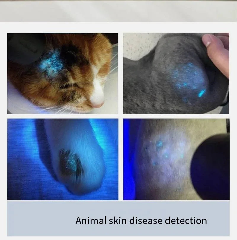 Pet Skin Lamp