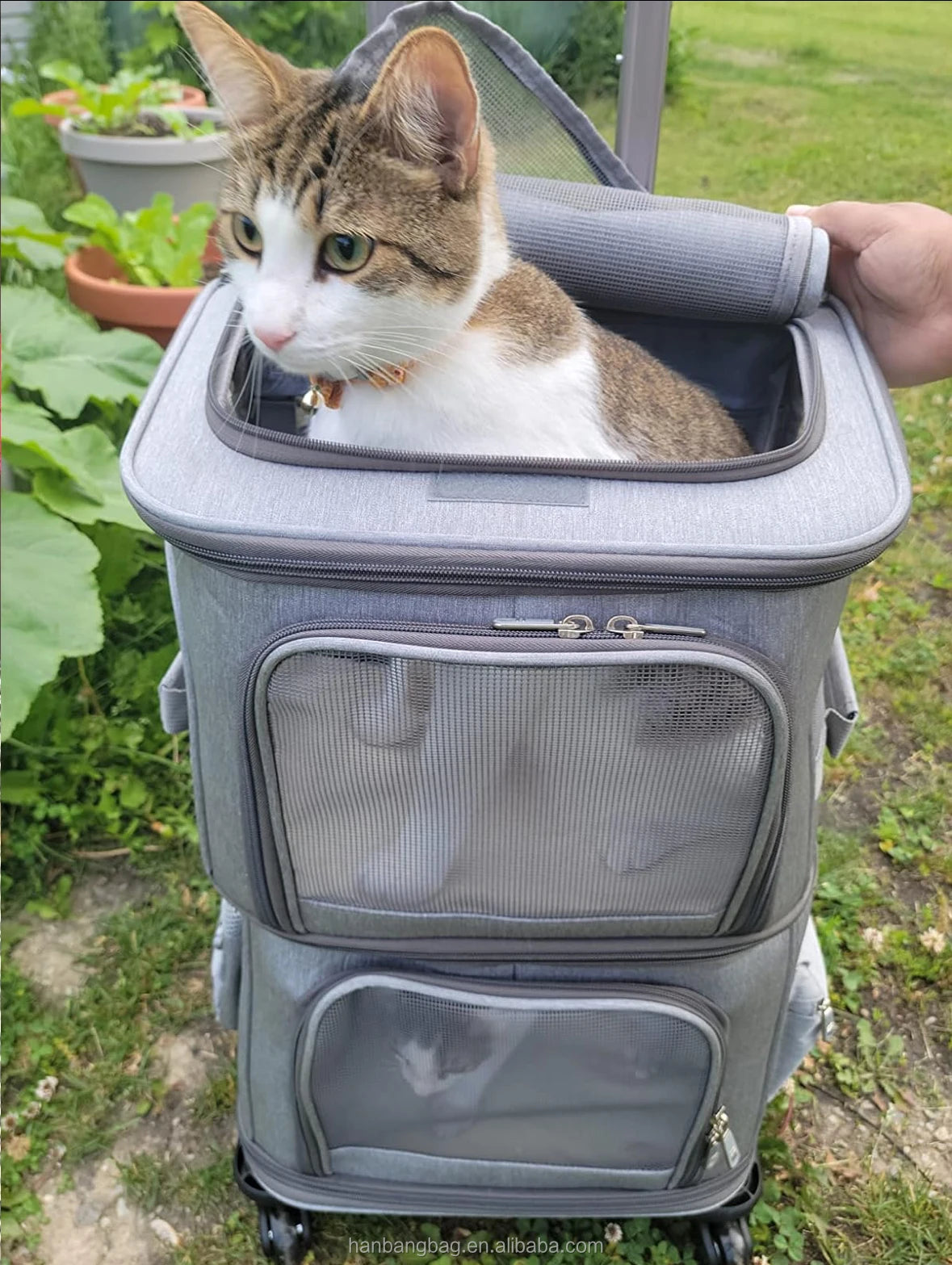 trolley pet carrier