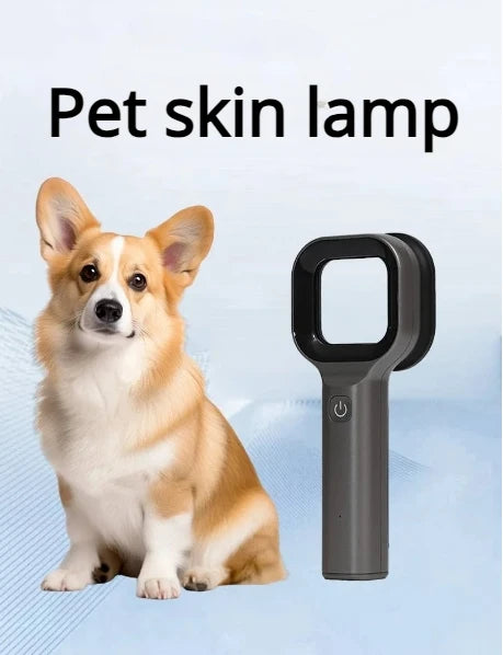 Pet Skin Lamp
