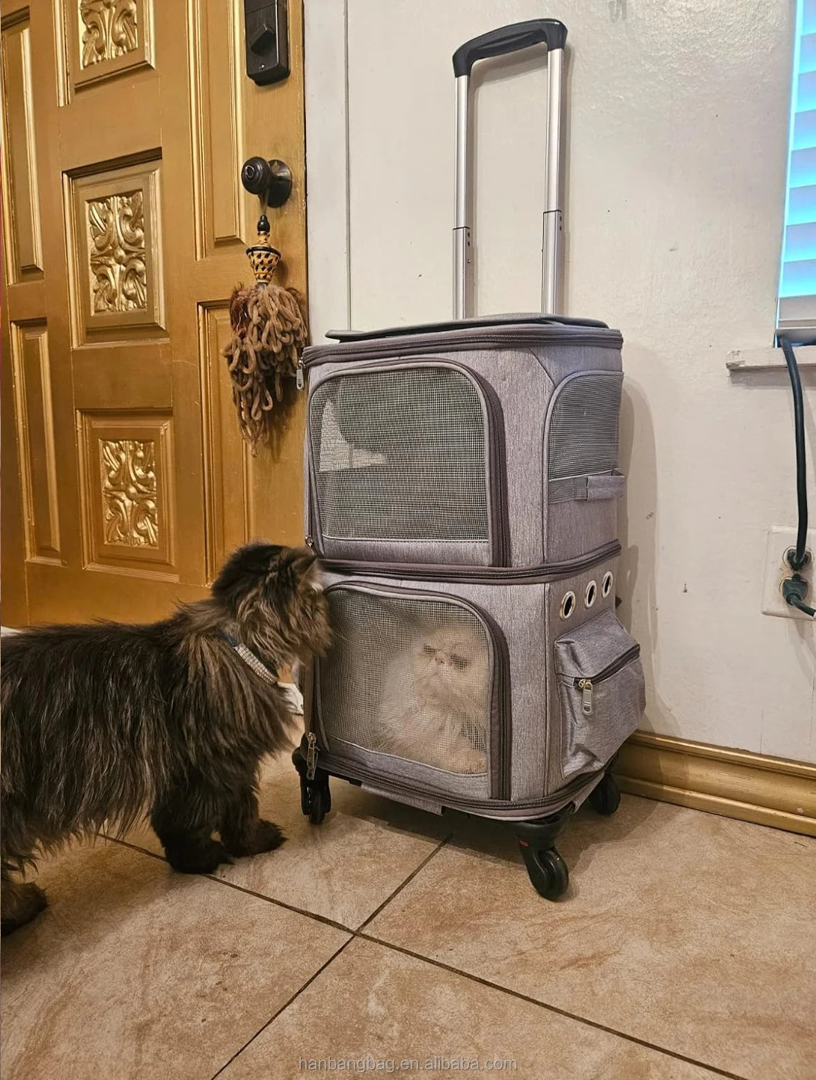 trolley pet carrier
