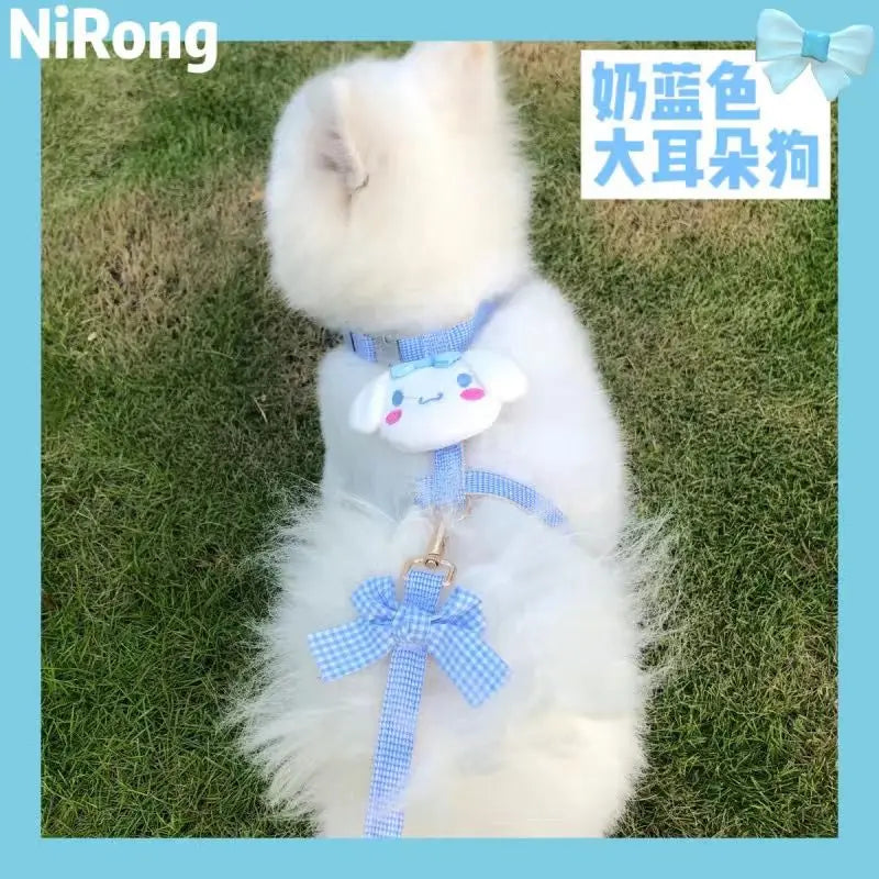 melody pet  dog