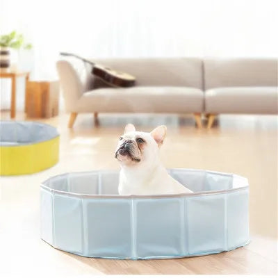 Swimming Pool Accessories