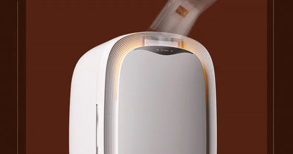 Refrigerator Mask Skin Care Products