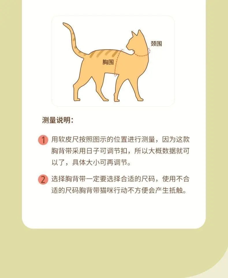 melody pet  dog