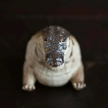 Simulated Decorative Crocodile
