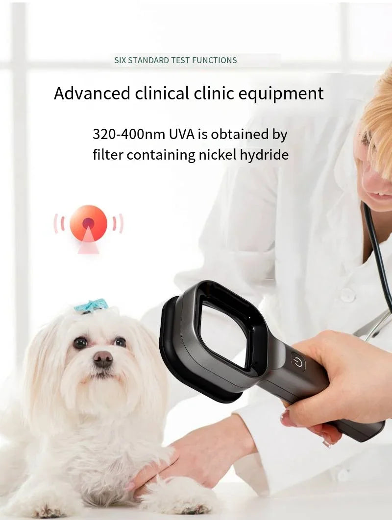 Pet Skin Lamp