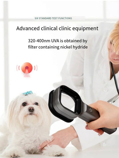 Pet Skin Lamp