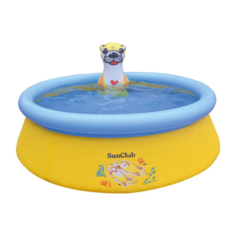 Swimming Pool Accessories