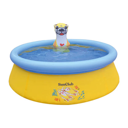Swimming Pool Accessories