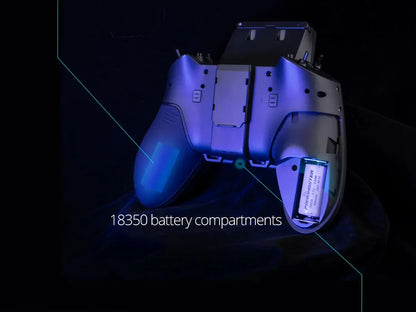 Radio Master Remote Controller