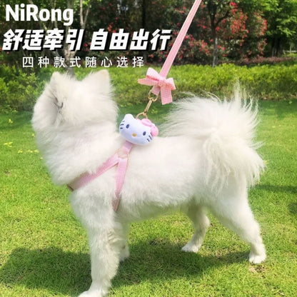 melody pet  dog