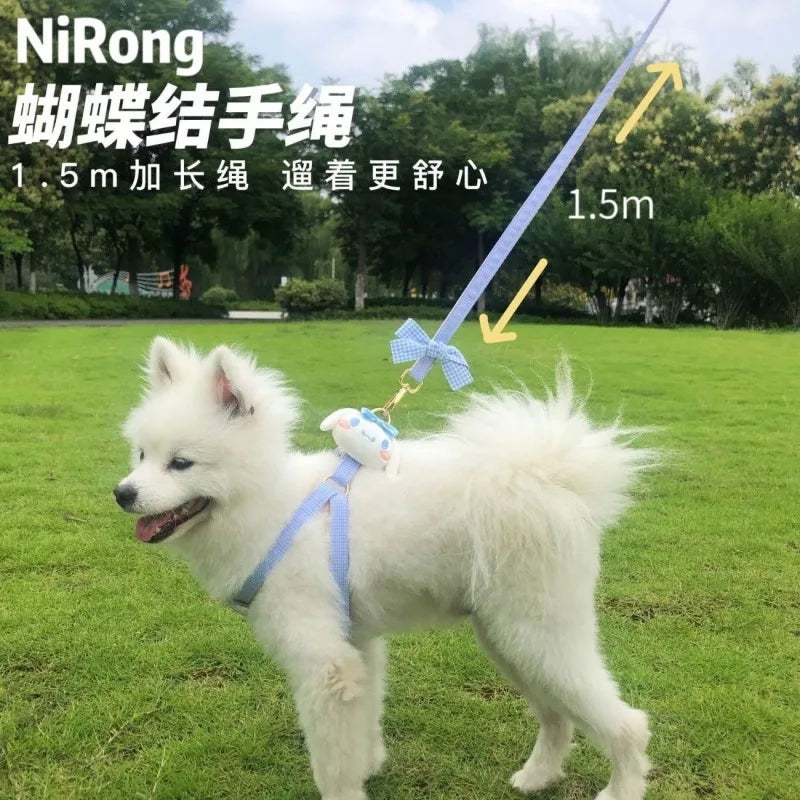 melody pet  dog