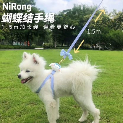 melody pet  dog