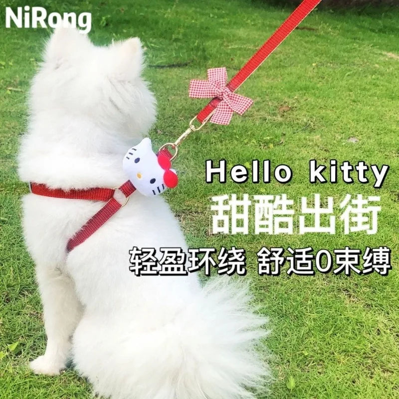 melody pet  dog