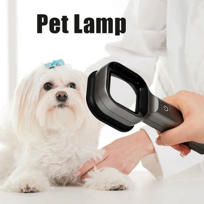 Pet Skin Lamp